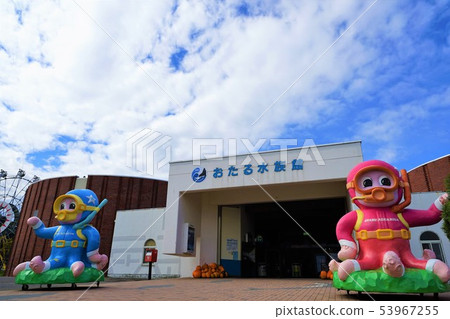 小樽水族館 53967255