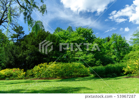 Beautiful landscape of a public park 53967287