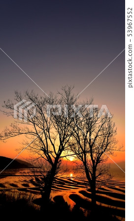 美麗的夕陽海和潮灘 53967552