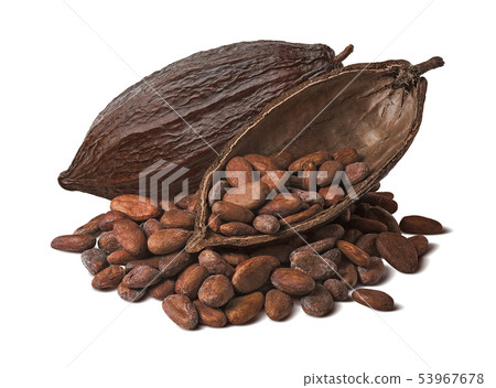 Whole and half cocoa pod with raw beans isolated 53967678