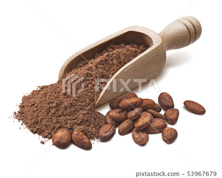 Wooden scoop with crude cocoa powder and raw beans 53967679