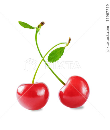 Two red cherries Two red cherries 53967739