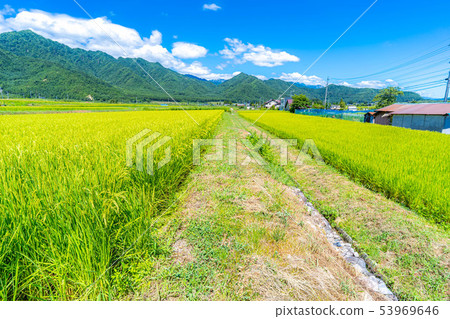Rice Deho初秋[長野縣] 53969646