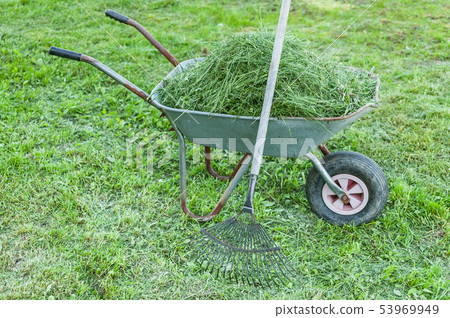 Garden tools. Wheelbarrow with grass and rake Garden tools. Wheelbarrow with grass and rake 53969949