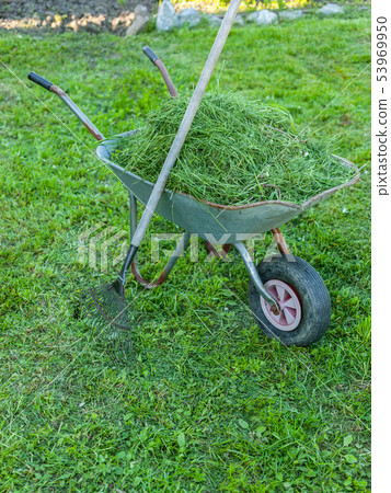 Garden tools. Wheelbarrow with grass and rake Garden tools. Wheelbarrow with grass and rake 53969950