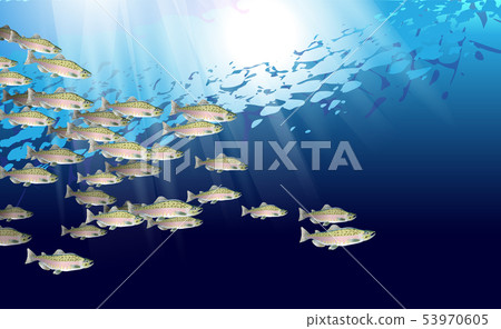 School of pink salmon fish. Marine life. Vector 53970605