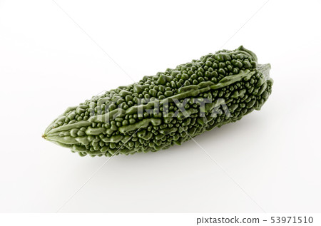 Asashi Goya 53971510