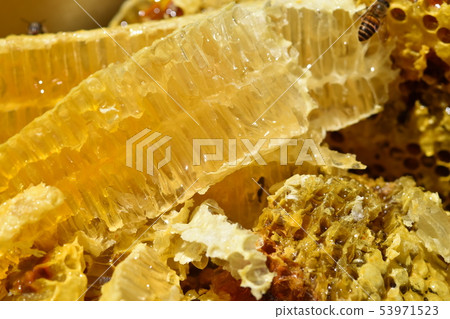 Honeycomb close-up material background right after taking out from bee box 53971523