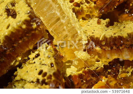 蜂窩特寫鏡頭材料背景在從蜂箱子取出以後 蜂窩特寫鏡頭材料背景在從蜂箱子取出以後 53971648