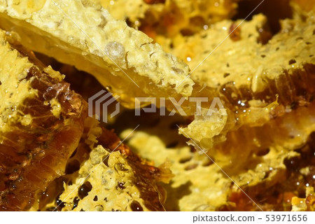 蜂窩特寫鏡頭材料背景在從蜂箱子取出以後 蜂窩特寫鏡頭材料背景在從蜂箱子取出以後 53971656