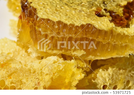 Natural nest honey (forest treasure!)) Beauty, health, whitening, longevity material, sdgs, sustainable natural environment 53971725