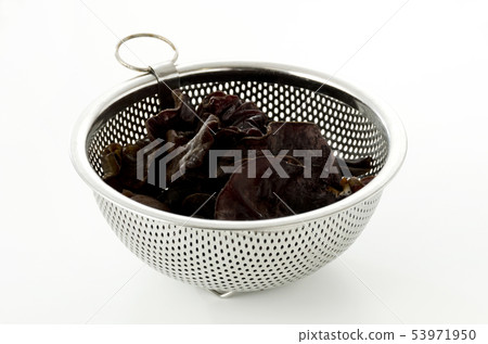 活潑的石斑魚 活潑的石斑魚 53971950