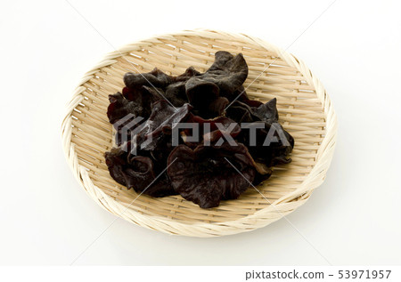 活潑的石斑魚 活潑的石斑魚 53971957