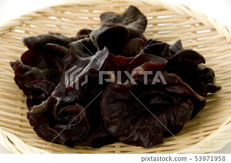 Lively grouper 53971958