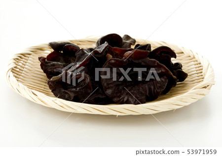 Lively grouper 53971959