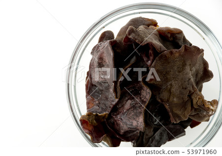 活潑的石斑魚 53971960