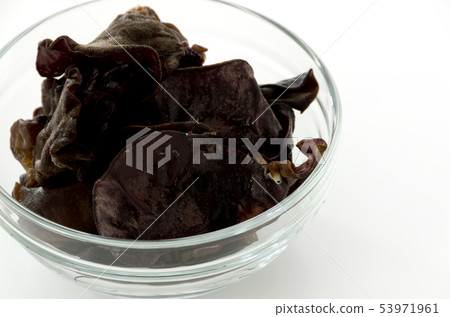 Lively grouper 53971961