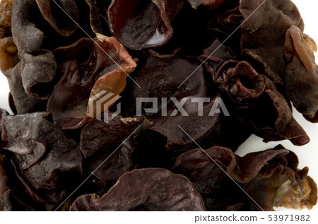 生計起來 53971982