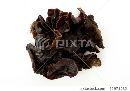 Lively grouper 53971983