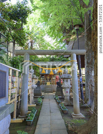 A meteorological shrine from which meteorological fans will drop off (Suginami Ward, Tokyo) A meteorological shrine from which meteorological fans will drop off (Suginami Ward, Tokyo) 53972101