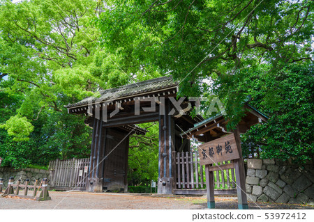 Kyoto Gyoen Shimon Gomon（Shimodachi Urigon）新鮮綠色 53972412