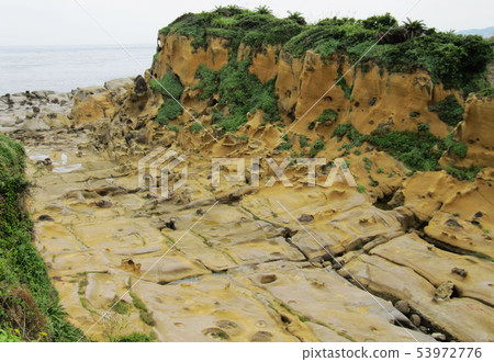 阿里山新中橫 53972776