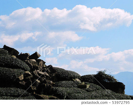 阿里山新中橫 阿里山新中橫 53972795