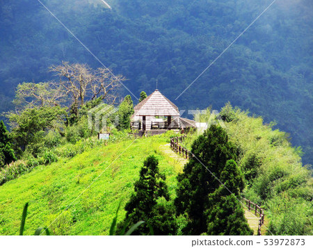 阿里山新中橫 阿里山新中橫 53972873