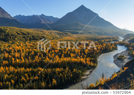 Alaska Fall Scenery of the McKinley Region Landscape of the fall Alaska 53972904