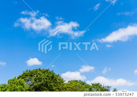 The blue sky of early summer The blue sky of early summer 53973247