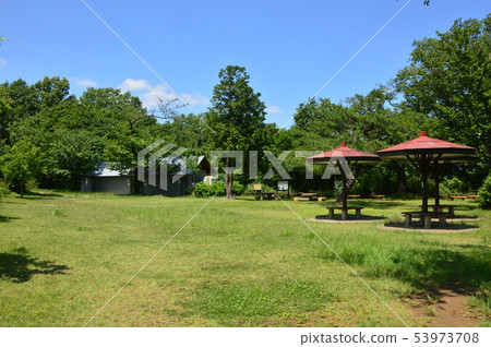 東京八王子市的長沼公園在6月是這樣的感覺 東京八王子市的長沼公園在6月是這樣的感覺 53973708