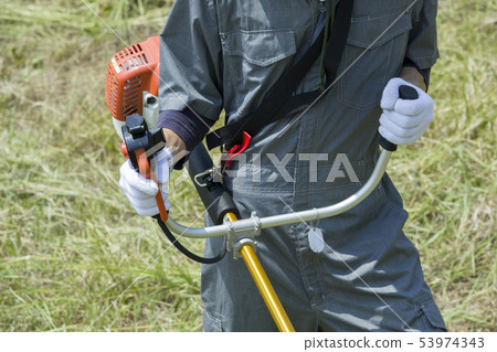 Weeding image, weeding image Weeding image, weeding image 53974343