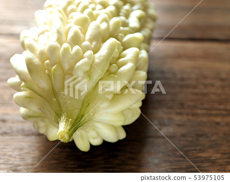 White bitter gourd White reishi 53975105