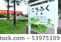 four Leaf Clover  53975109