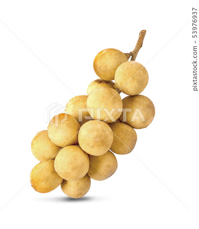 Long Gong fruit ,Lansium parasiticum on a white Long Gong fruit ,Lansium parasiticum on a white 53976937