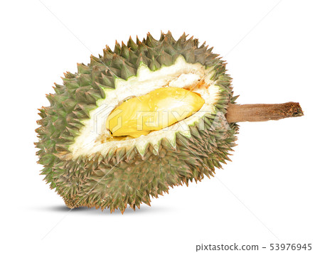durian isolated on white background 53976945