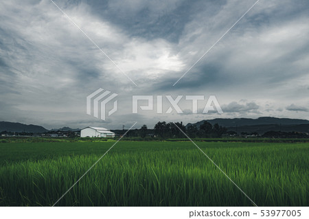 米可看見在白色倉庫和多雲天空 米可看見在白色倉庫和多雲天空 53977005