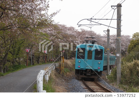 櫻花和和歌山線系列105列車 53977252