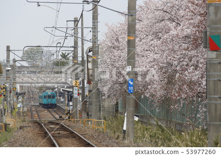 The 105 series train for Wakayama line and Sakurai line The 105 series train for Wakayama line and Sakurai line 53977260