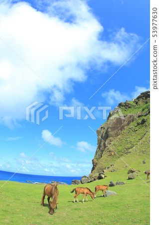 Yonaguni horse Yonaguni horse 53977630