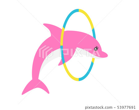 海豚 海豚 53977691