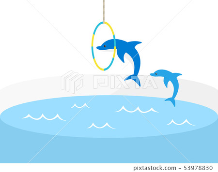 Dolphin Dolphin 53978830