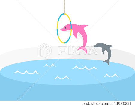 Dolphin Dolphin 53978831