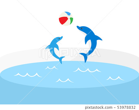 Dolphin Dolphin 53978832