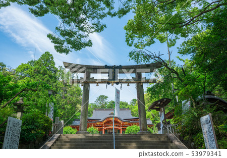 Kyoto Nagaoka Tenmangu Shrine Fresh green Kyoto Nagaoka Tenmangu Shrine Fresh green 53979341
