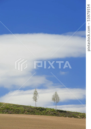 Earth, blue sky and trees 53979554