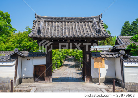 京都造山帶新綠 53979608