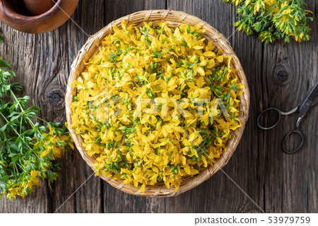 St. John's wort flowers in a wicker basket, top St. John's wort flowers in a wicker basket, top 53979759