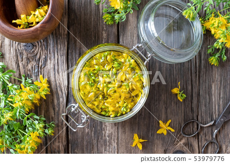 Preparation of St. John's wort oil, top view Preparation of St. John's wort oil, top view 53979776