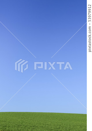 Meadow and blue sky simple background Meadow and blue sky simple background 53979912